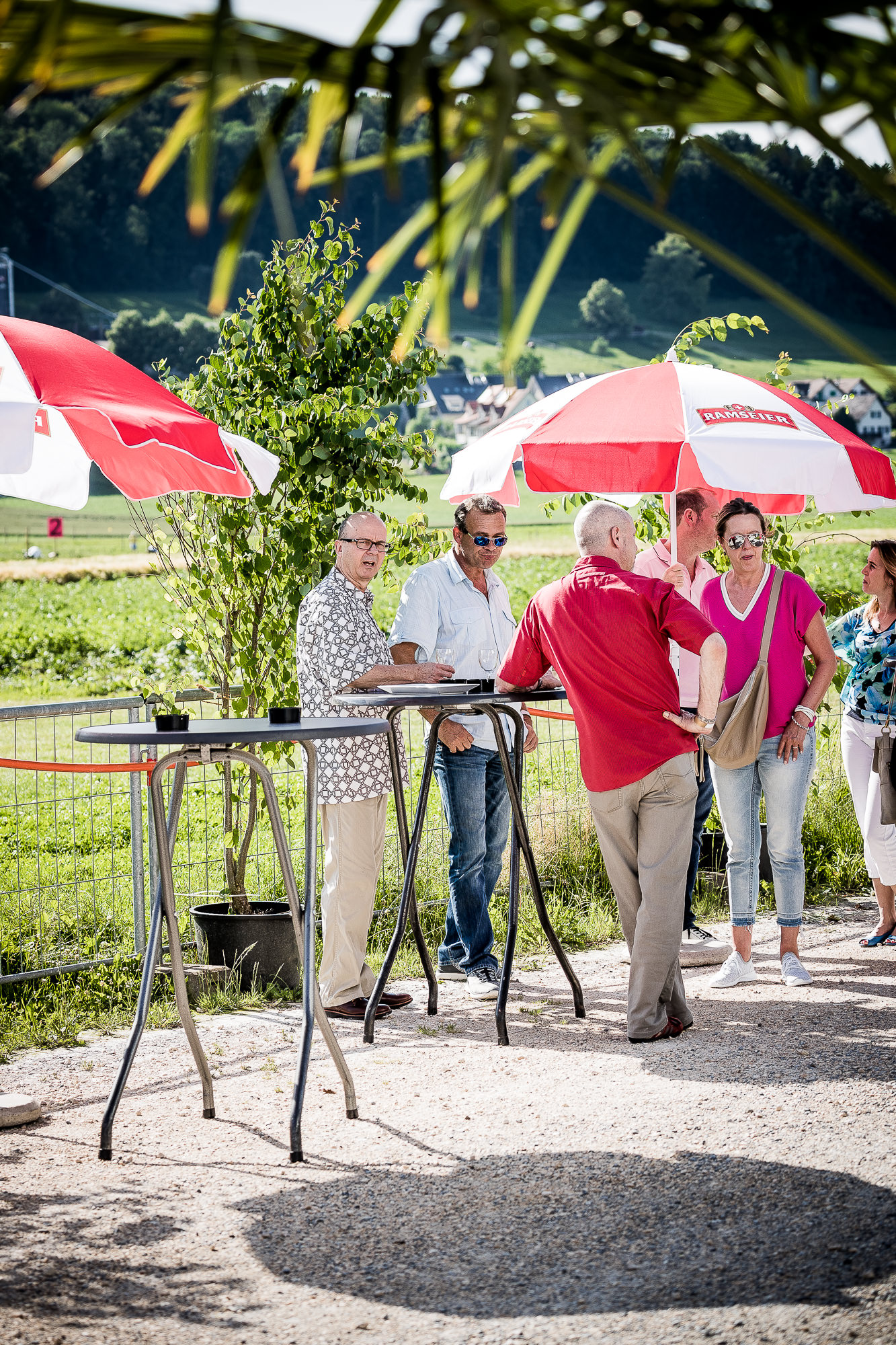 Export x3 1DX25435 50 Jahre FC Urdorf